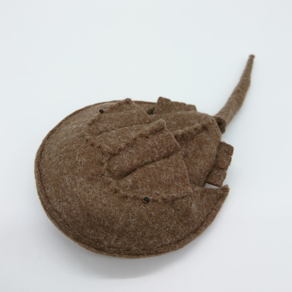 sawaru hiko horseshoe crab brooch - brown